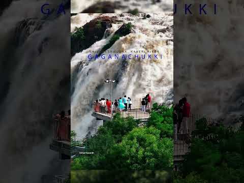 Shivanasamudra Up Close Gaganachukki Today Waterfall Bengaluru