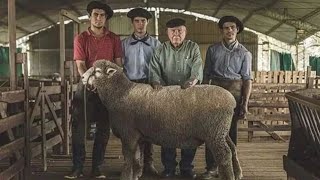 La ESTANCIA MISTERIOSA que descubrí oculta en el Paraje las Tolderías/Chaco