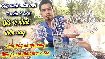 Bán lồng bẫy chuột đường mòn mẫu mới 2022 giá rẻ, đầy đủ kích thước