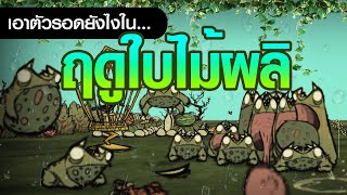 คู่มือเอาชีวิตรอดในฤดูใบไม้ผลิ + วิธีรับมือกับฝนกบ? | SPRING GUIDE [Don't Starve Together]