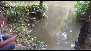 MENGERIKAN MANCING ANGKER HOROR POLLL..