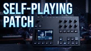 Torso S-4 Vol. 37 | Building Self-Playing Generative Patches