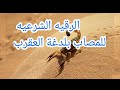 الرقيه الشرعيه للمصاب بلدغة العقرب كيفيه كيفيه استخدام الماء و الملح في العلاج 
