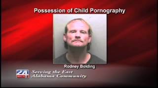 Albertville Man Charged with Possession of Child Pornography