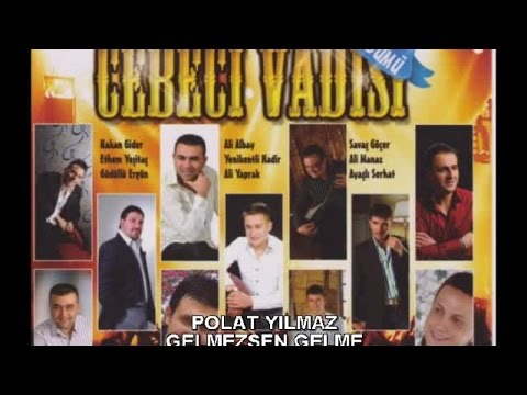 POLAT YILMAZ - GELMEZSEN GELME