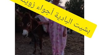 شاركت_ معكم _خريجة-?? زوينة البادية ?