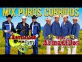 Los armadillos de la sierra vs los aguilillos de la sierra Mix de corridos sierreños pesados 