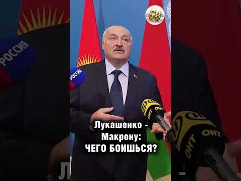 Лукашенко:  Макрон приезжай в Минск. Не бойся. #шортс #цитаты #цитатадня #лукашенко #макрон