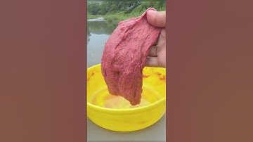 Trộn mồi vuốt câu cá rô phi với bột tơ nhện