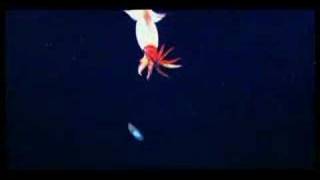 Sunday - Lazy Hurricanes (video projection)