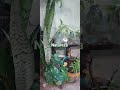 Bom dia!!!