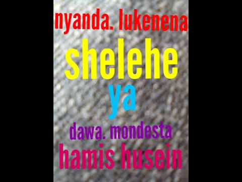 Nyanda Lukenena Shelehe Ya Dawa Mondester Hamis 