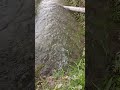 #foryou #relaxingmusic #viralvideo #nature #waterfall #fyp #likeandsubscribe #like