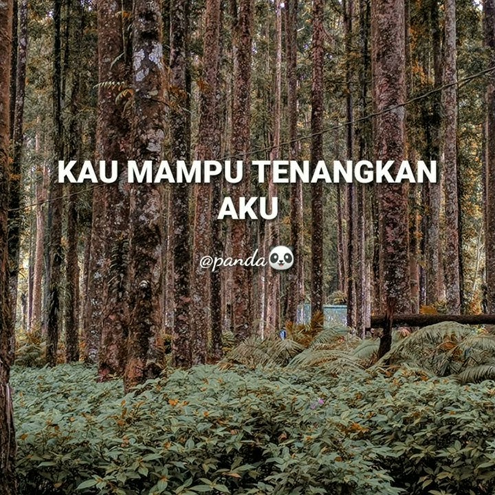 Story wa || hadirnya dirimu😁