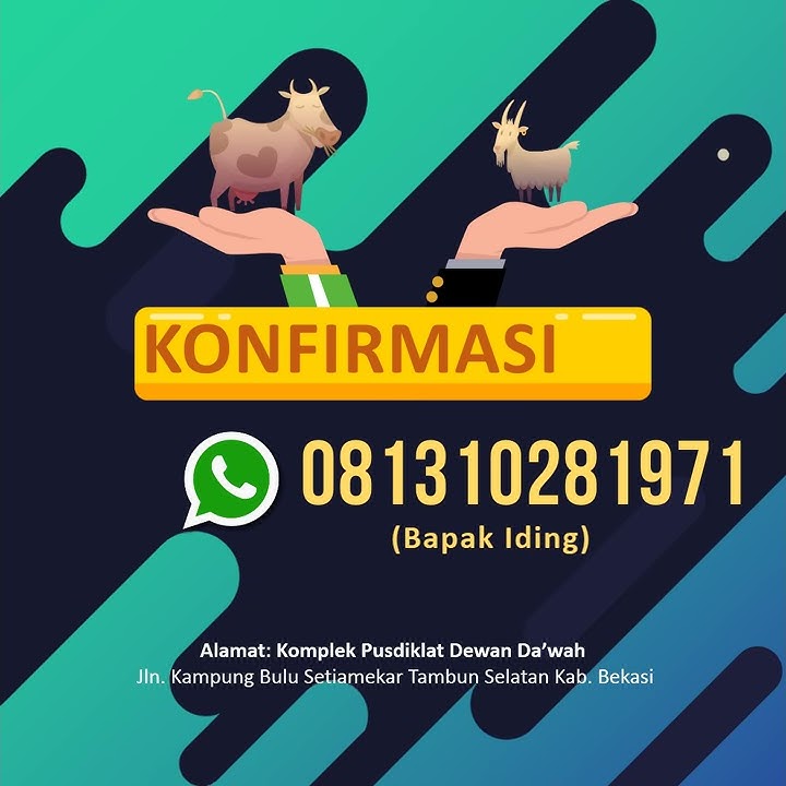 Video Promosi Hewan Qurban Kode QP02