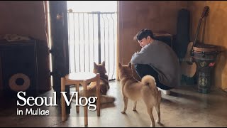 일본남자Vlog🐕문래서 강아지들한테 힐링받은 날 (문래동,카페,맛집,노래방,시바견,래브라도 리트리버)