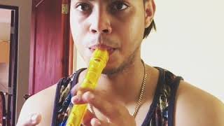 Bob Esponja, Flauta Dulce. Crustáceo Cascarudo