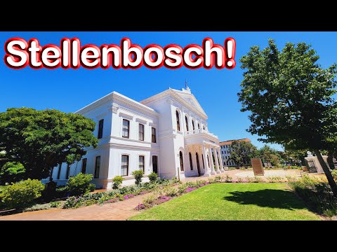 S1 – Ep 254 – Stellenbosch – Another South African Town Overflowing with Beauty!