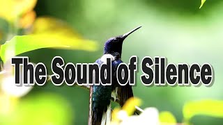 The Sound Of Silence  Simon&Garfunkel Alto Saxophone Cover