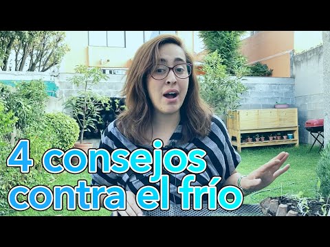 4 CONSEJOS para cuidar tus PLANTAS del FRÍO 🥶 (Evita que se sequen ❌)