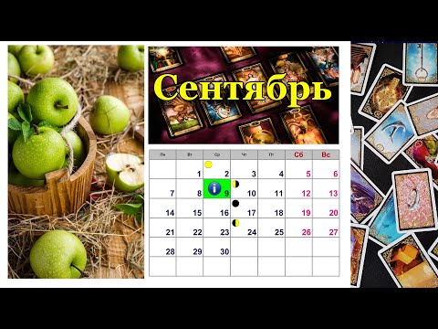 Video: Horoskop Pro 8. Května Od Waltera Mercada