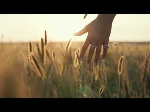 carefree woman in field SBV 338734880 HD