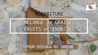 Mélange de graine pour oiseaux avec fruit et insecte