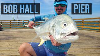 Fishing Using SECRET TECHNIQUE for Jack Crevalle on the NEW Bob Hall Pier ft. @squidder542