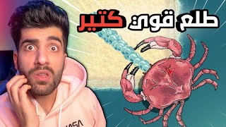 حرب النمل : محاولة القضاء على السلطعون ? | Pocket Ants