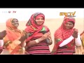 Eritrean saho cultures and traditions