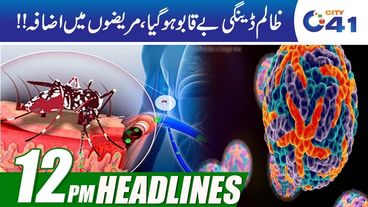 imran khan cantante News Headlines | 12:00pm | 7 Oct 2019 | City 41
