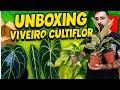 Unboxing Plantas 🪴Tropicales de interior, viveiros cultiflor #unboxing #plants #plantas