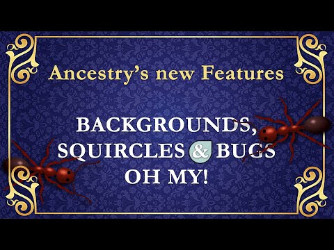Ancestry New Features Squircles and Bugs