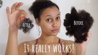 Rice Water + Black Tea Rinse Stopped My Hair From Falling Out Immediately!
