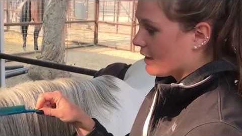 Reverse Scallop Horse Braid Tutorial // Mikayla Vosseller for CenterlineStyle.com