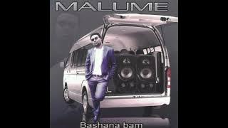 Bashana Bami [ Bootleg Remix ] - [ Ft. Ben Produces , Malume , Simmytainment ]