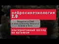 Новая Германская медицина введение GNM осанка и боль ч 2 нейрофизиология #кинезиолог #психосоматика