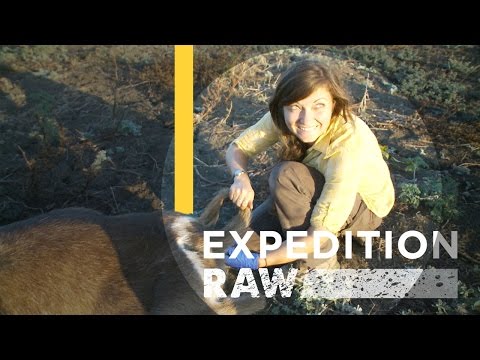 Collecting Poop to Save a National Park | Expedition Raw