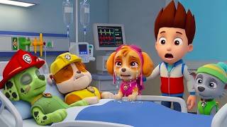 ¡OMG! ¿Qué pasó…? Marshall  y Rubble están en coma | PAw PAtrol en Español | Rainbow 3