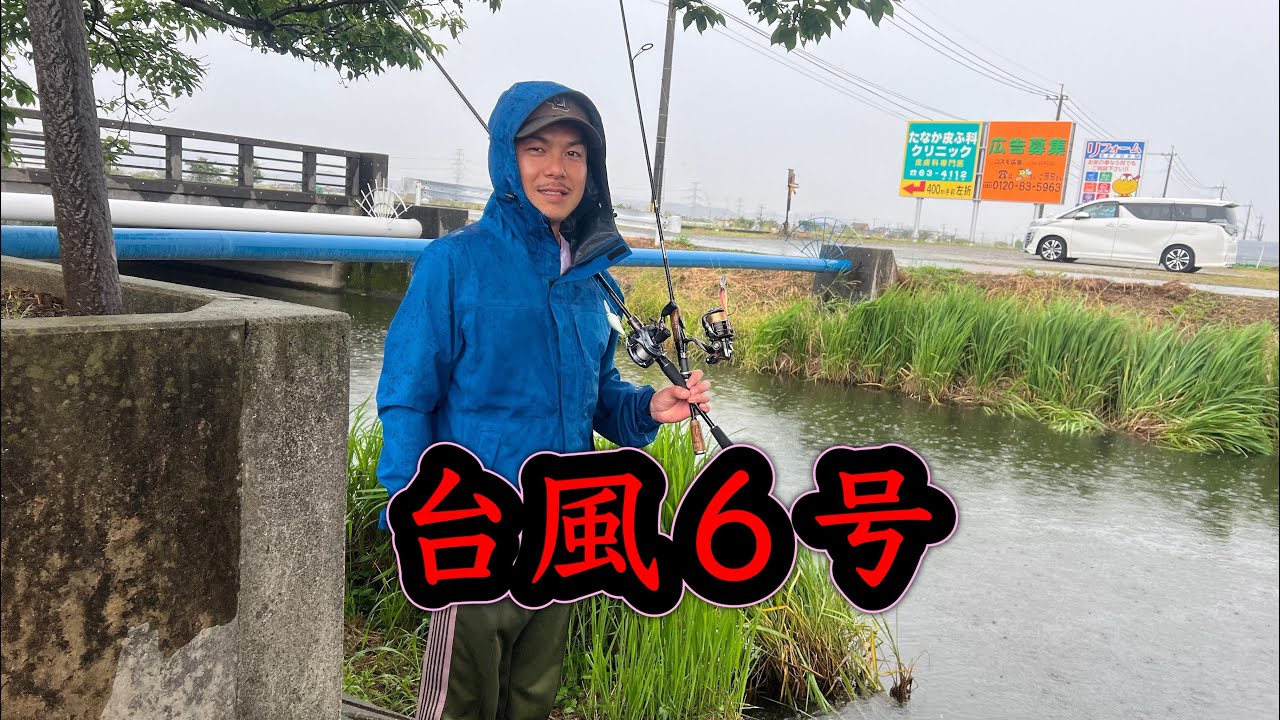 【急遽】台風接近中の柳川クリークはどうなの？