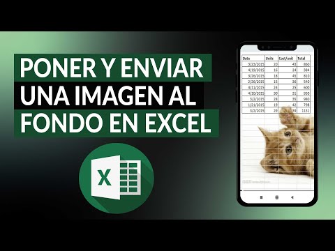 Cómo poner y enviar una imagen al fondo en EXCEL paso a paso