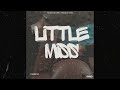 Page 10  little miss official audio visualizer