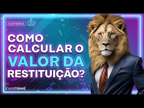 Restituição Imposto de Renda: como a Receita calcula?