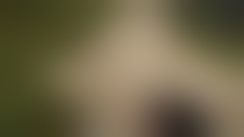 RUST -  How does this keep happening?