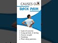     back pain    