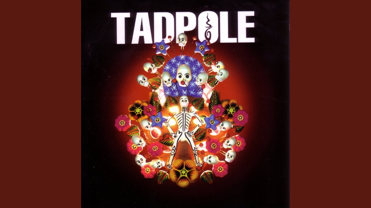 Παρακολούθηση Vanity στο YouTube Παρακολούθηση Vanity στο YouTube