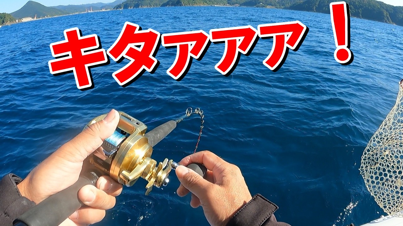 まだ間に合う！ティップラン × 落とし込み “今がチャンス” in 和歌山