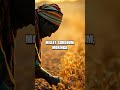Seeds of Resilience The Sahel Garden Revival