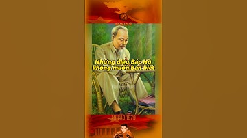 NHỮNG ĐIỀU BÁC HỒ KHÔNG MUỐN BẠN BIẾT… #bảocócvlog #bảocóc #nguocdonglichsu #baococvlogboss #shorts