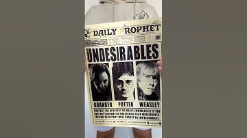 🤯 Every Harry Potter Fan needs this 3D lenticular poster 😍💙 #harrypotter #hermionegranger